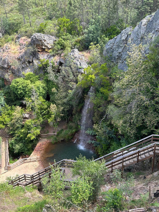 Oleiros